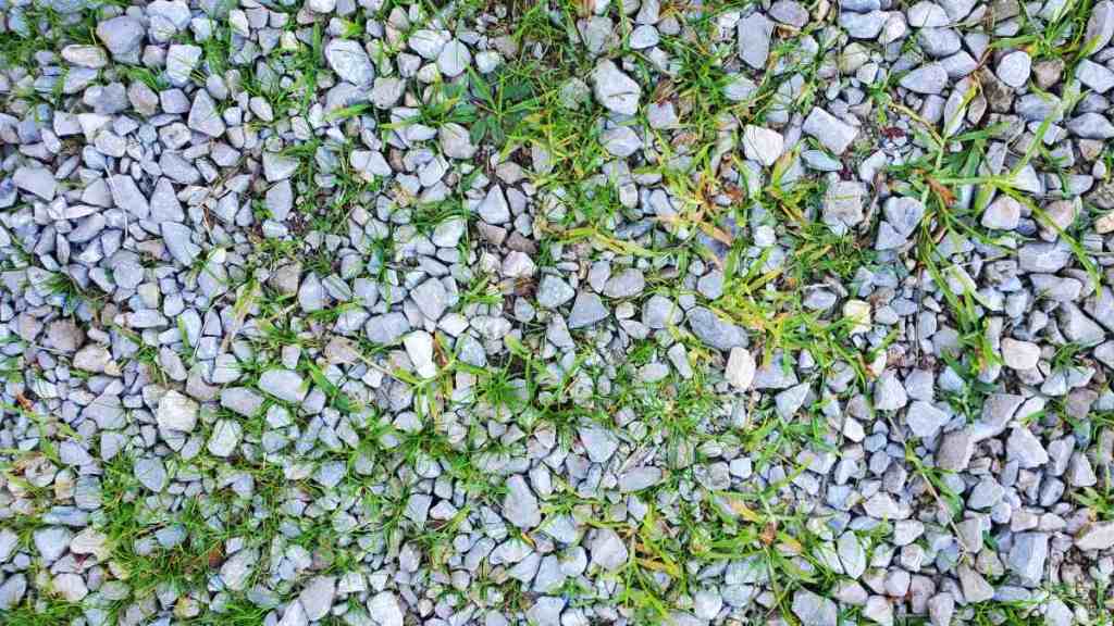 Ground Sterilant: Long-Term Weed Control for Commercial Properties